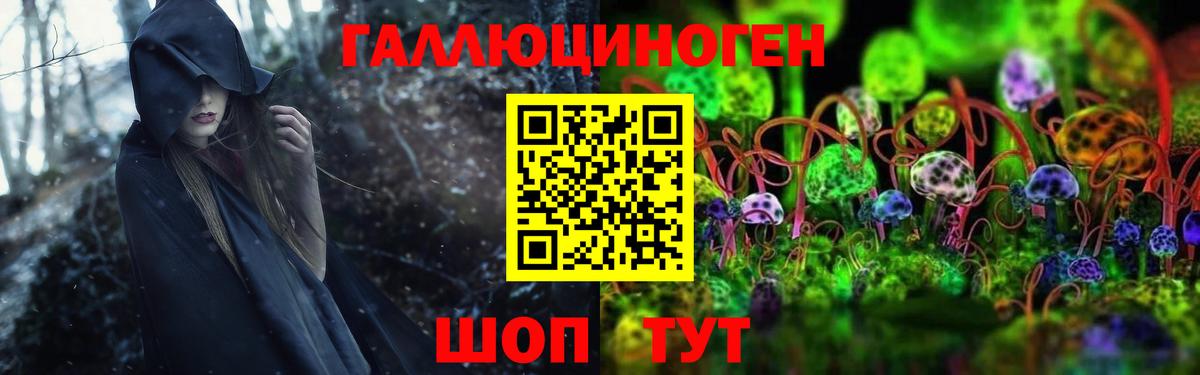 Псилоцибиновые грибы Psilocybine cubensis  Вход с VPN  Знаменск 
